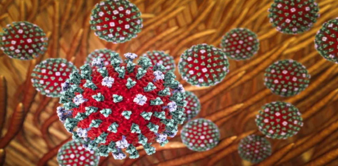 خبراء بالصحة يحذرون من "جائحة محتملة" بقدرة فتاكة