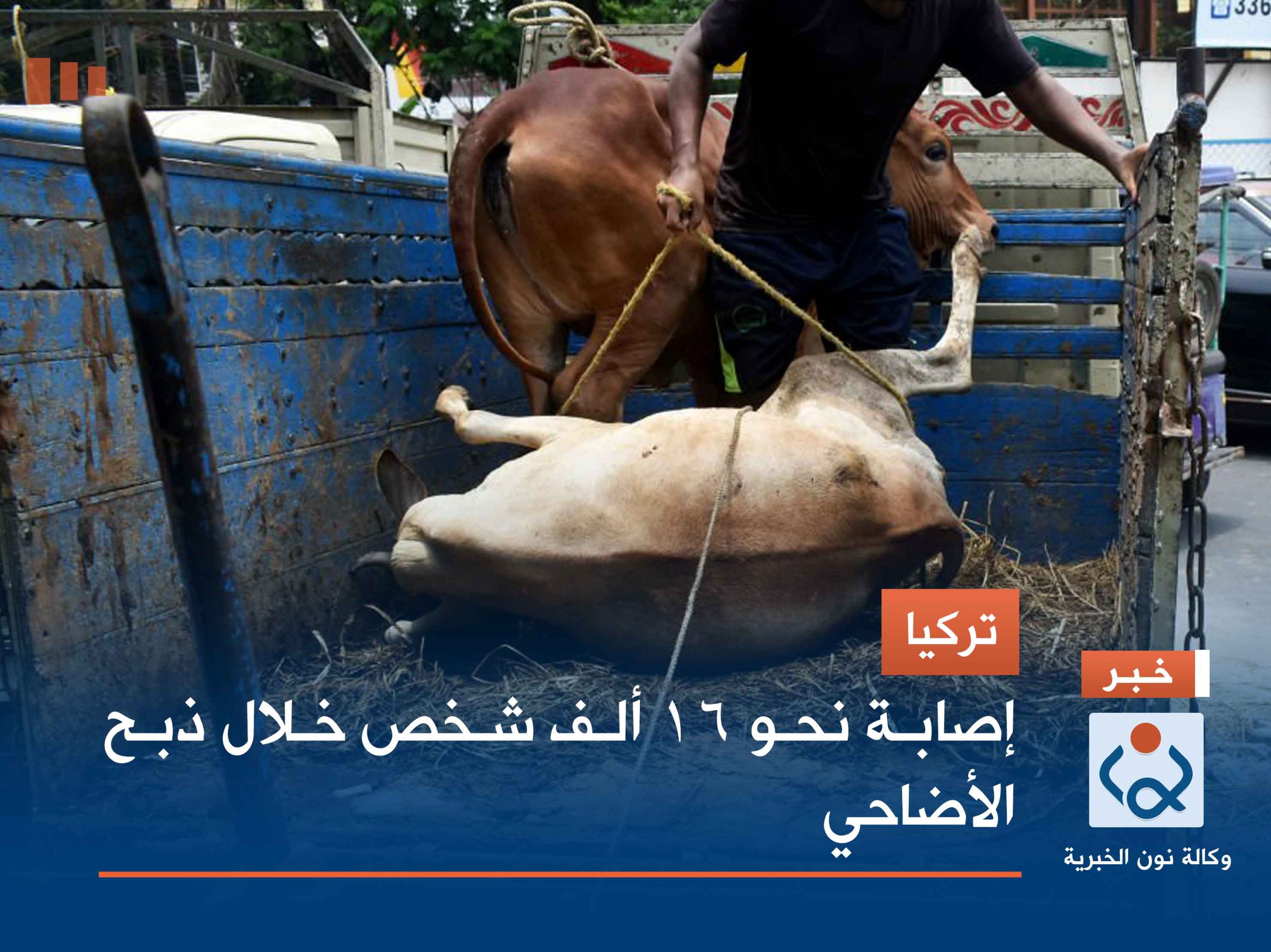 وفاة 11 حاجا إيرانيا منذ بدء موسم الحج