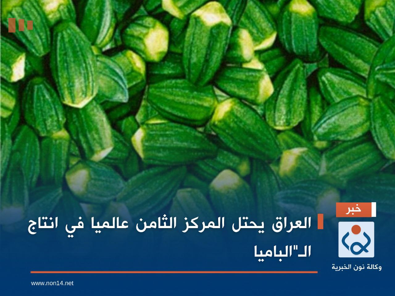 العراق يحتل المركز الثامن عالميا في انتاج الـ"الباميا"