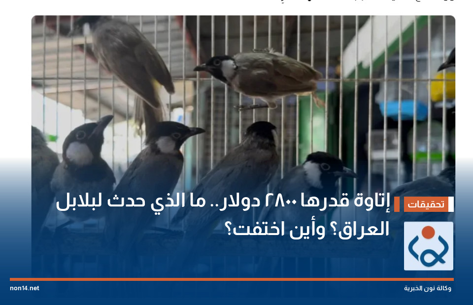 إتاوة قدرها 2800 دولار ما الذي حدث لبلابل العراق؟ وأين اختفت؟
