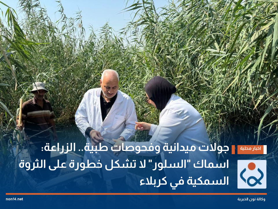 جولات ميدانية وفحوصات طبية الزراعة: اسماك السلور لا تشكل خطورة على الثروة السمكية في كربلاء