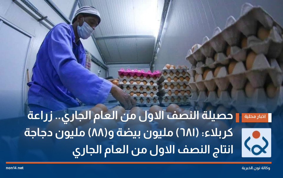حصيلة النصف الاول من العام الجاري زراعة كربلاء: (681) مليون بيضة و(88) مليون دجاجة انتاج النصف الاول من العام الجاري