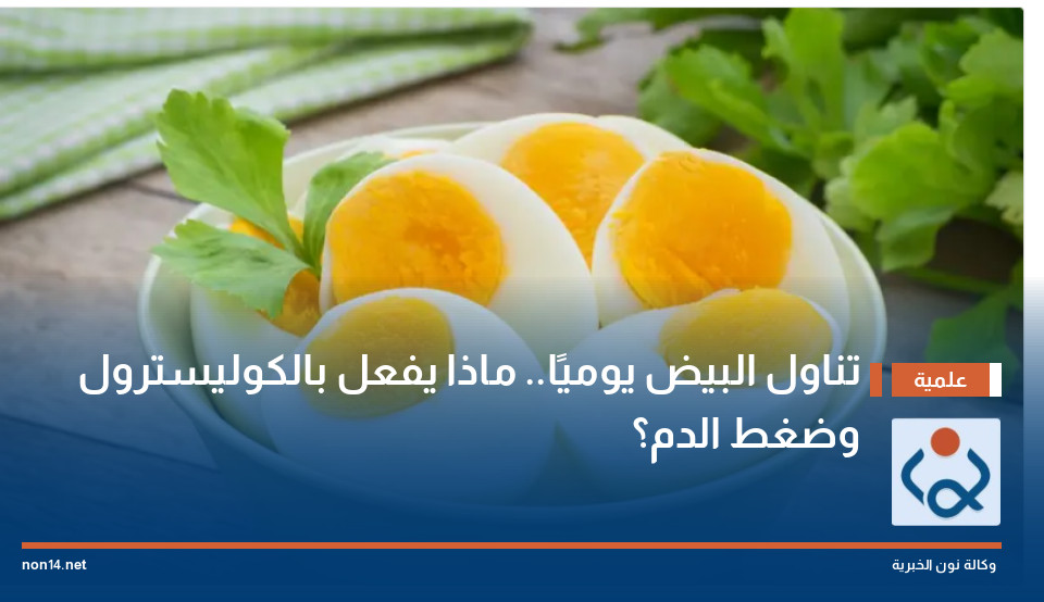تناول البيض يوميًا ماذا يفعل بالكوليسترول وضغط الدم؟